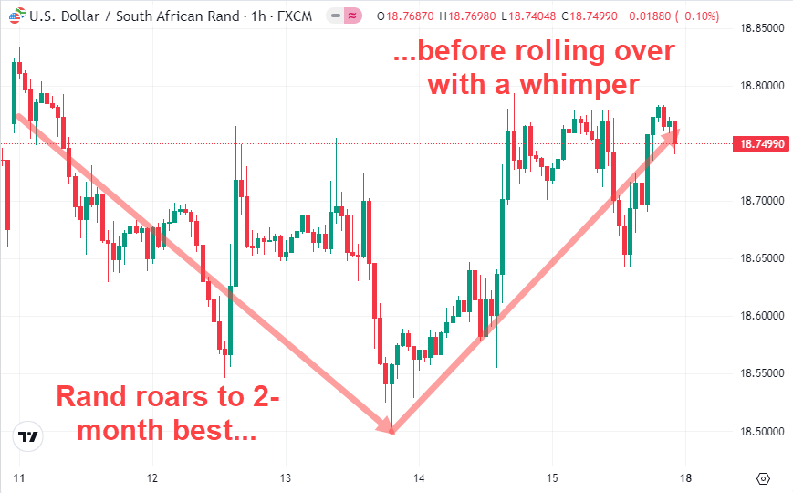Rand Roars to 2-Month Best Before Spiking 11-18 March 2024