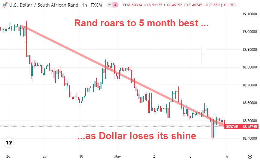 Roars to 5 month best as Dollar loses it's shine May 2024